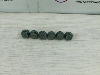 болт BMW 3 серия E90/E91/E92/E93 (2004 - 2010), 2.0 л., N46 B20 BD, бензин, 24407561393, 7561393