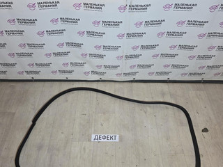 уплотнитель двери BMW X6 E71/E72 E71 2009, 3.0 л., N54 B30 A, бензин, серебро, правый руль, 7234932