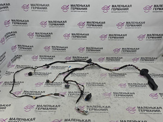 дверная проводка BMW X1 F48 2017, 2.0 л., B48 A20 B, бензин, АКПП, alpinweiss 3 (300), полный привод, правый руль, 61129384571, 9384571, 9384564