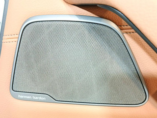 динамик двери BMW 5 серия G30/G31 G30 2018, 2.0 л., B48 B20 A, бензин, АКПП, a96 mineral-weiss metallic, седан, задний привод, правый руль