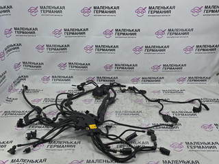 проводка двигателя BMW 6 серия F06/F12/F13 2012, 4.4 л., N63 B44 B, бензин, АКПП, alpinweiss 3 (300), хетчбэк 5 дв., задний привод, правый руль, 7601305, 7599695, 12527621078, 12527621075, 12518614669, 8614669, 7621075, 7618790