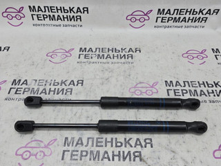 амортизатор капота BMW X3 G01 2019, 2.0 л., B48B20C, бензин, АКПП, c1m phytonic-blau metallic, внедорожник 5 дв., полный привод, 51237397493, 7397493