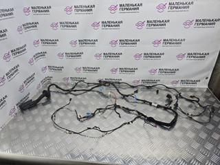 дверная проводка BMW 5 серия G30/G31 G31 2017, 2.0 л., B48 B20 B, бензин, АКПП, alpinweiss 3 (300), универсал, правый руль, 61126991528, 6991528, 9370927, G635536