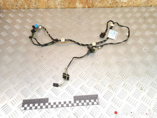 дверная проводка Mercedes-Benz B-Класс W245 2008, 2.0 л., OM 640.941, дизель, АКПП, A1695403605