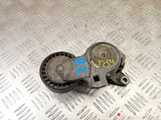 натяжитель Peugeot 407 1 поколение 2006, 2.0 л., RFN (EW10J4), бензин, универсал, TF070, F30363