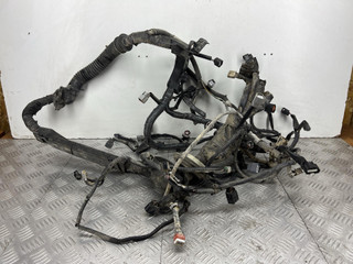 проводка двигателя Infiniti EX25 1 поколение (2007 - 2013), 2.5 л., VQ25HR, бензин