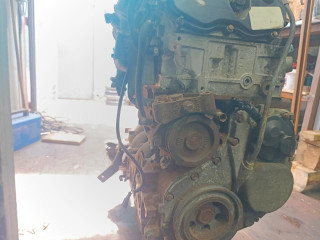 двигатель IVECO Daily 4 поколение 2007, 3.0 л., 6МКПП, белый, 71769669, F1C