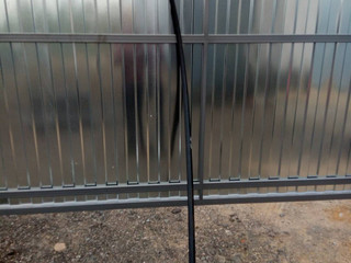молдинг крыши BMW 3 серия F30/F31/F34 [рестайлинг] F31 2015, 2.0 л., N47 D20 C, дизель, АКПП, белый, универсал, задний привод, правый руль