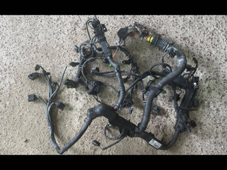 проводка двигателя BMW X6 E71/E72 2011, 4.0 л., D, дизель, АКПП, белый, внедорожник 5 дв., полный привод, правый руль, 8511878, 7808328