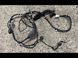дверная проводка BMW X3 G01 2018, 3.0 л., i, B58 B30 A, бензин, АКПП, c1m, внедорожник 5 дв., полный привод, правый руль, 8793254
