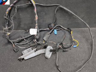 дверная проводка BMW 7 серия F01/F02 [рестайлинг] F02 2014, 4.4 л., N63 B44 B, бензин, АКПП, седан, задний привод, 9262894, 9169241