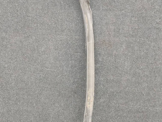 уплотнитель BMW 2 серия F22/F23 F22 2015, 1.5 л., B38 B15 A, бензин, МКПП, купе, 7300693
