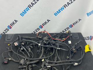 проводка двигателя BMW 3 серия F30/F31 [рестайлинг] F30 2018, 2.0 л., гибрид, АКПП, седан, задний привод, 8636067, 8636065, 8669731