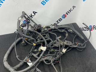проводка двигателя BMW 3 серия F30/F31/F34 F30 2013, 2.0 л., N20 B20 B, бензин, АКПП, 7619141, 7619138, 7634060
