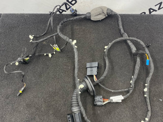 дверная проводка BMW X5 G05 [рестайлинг] G05 2024, 3.0 л., B57 D30 B, дизель, 416, полный привод, 5A5B6D5