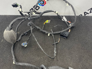 дверная проводка BMW X5 G05 [рестайлинг] G05 2024, 3.0 л., B57 D30 B, дизель, 416, полный привод, 5A5B6D5