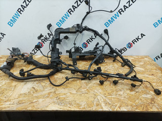 проводка двигателя BMW 7 серия F01/F02 [рестайлинг] F02 2014, 3.0 л., N57 D30 A, дизель, АКПП, серый, седан, задний привод, правый руль, 7823755