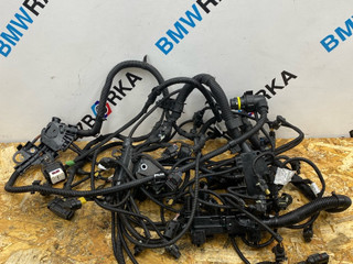 проводка двигателя BMW 4 серия F32/F33 [рестайлинг] F36 2018, 2.0 л., B48 B20 A, бензин, АКПП, хетчбэк 5 дв., задний привод, правый руль, 8636073, 8636067, 8636066, 8682895, 8636060, 8636054, 8636069, 8682893