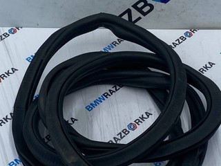 уплотнитель двери BMW X6 G06 2020, 3.0 л., B57 D30 B, дизель, АКПП, с27, внедорожник 5 дв., полный привод, 7437788