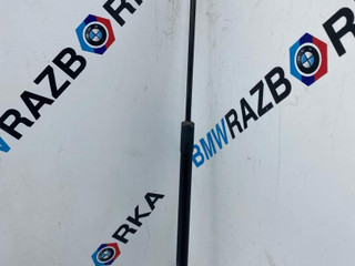амортизатор капота Mercedes-Benz GLS-Класс X166 2018, A1669802464