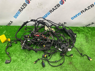 проводка двигателя BMW X3 G01 2018, 2.0 л., B46 B20 B, бензин, АКПП, внедорожник 5 дв., 8658840, 8658836, 8659080, 8687581