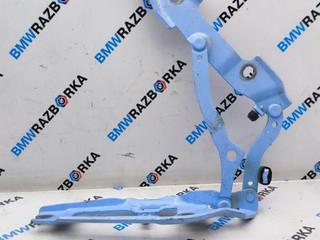 петля крышки багажника BMW M2 G87 2024, S58B30A, АКПП, купе, задний привод, 8492142