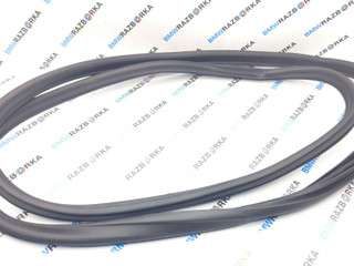 уплотнитель двери BMW M2 G87 2024, S58B30A, АКПП, купе, задний привод, 7482813