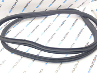 уплотнитель двери BMW M2 G87 2024, S58B30A, АКПП, купе, задний привод, 7482813