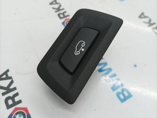 кнопка переключения режимов подвески BMW X6 G06 [рестайлинг] G06 2023, 3.0 л., i, B58B30, бензин, АКПП, a96, внедорожник 5 дв., полный привод, 6821911, 61316821911