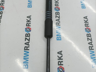 амортизатор капота BMW 5 серия G30/G31 G30 2019, 2.0 л., B47 D20 B, дизель, АКПП, c2y, седан, задний привод, 51237347403, 7347403