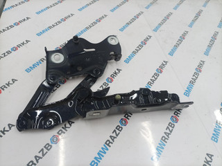 петля капота правая BMW X6 G06 [рестайлинг] G06 2023, 3.0 л., B58B30P, бензин, АКПП, 416, внедорожник 5 дв., полный привод, 7418202