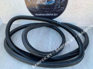 уплотнитель двери BMW X5 E70 2007, 3.0 л., дизель, АКПП, внедорожник 5 дв., полный привод