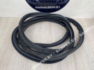уплотнитель BMW X5 E53 [рестайлинг] E53 2005, 3.0 л., дизель, АКПП, внедорожник 5 дв., полный привод