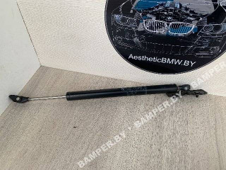 ограничитель открывания двери задней BMW 7 серия F01/F02 2009, 4.4 л., бензин, АКПП, седан, 51227191285, 7191285