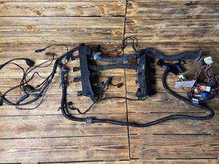 проводка двигателя Land Rover Range Rover 3 поколение L322 2004, 4.4 л., M62 B44, бензин, АКПП, внедорожник 5 дв., 12517520672, 7520672