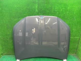 капот BMW XM G09 2023, 4.4 л., S68B44A, бензин, АКПП, dravitgrau metallic (c36), внедорожник 5 дв., полный привод, 5A2FCE1, 41615A2FCE1