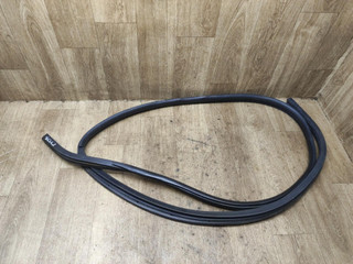 уплотнитель двери Nissan Almera N16 2003, 1.5 л., QG15DE, бензин, МКПП, хетчбэк 5 дв.