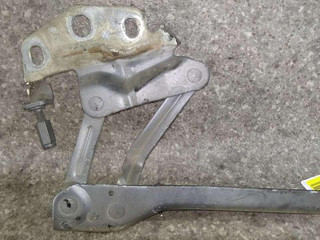 петля капота левая Volkswagen Passat B6 (2005 - 2010), 3C0823301D