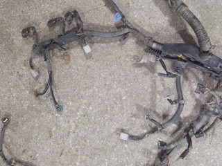 проводка двигателя Lexus RX 2 поколение (2003 - 2006), 3.3 л., 3MZ-FE, бензин