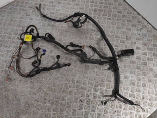 проводка двигателя Opel Astra G 2001, 2.0 л., i, X 20 XEV, бензин, МКПП, 90588329