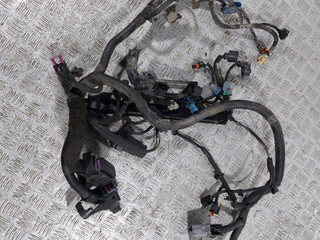 проводка двигателя Chevrolet Cruze 1 поколение (2009 - 2012), 1.6 л., i, F16D4, бензин