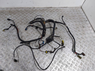 проводка двигателя Opel Zafira 2 поколение (B) (2005 - 2008), 1.9 л., CDTi, Z 19 DT, дизель, МКПП, 90566071, 55E231A09