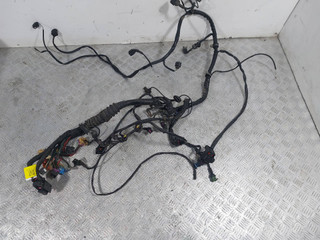 проводка двигателя Audi A6 4B/C5 [рестайлинг] (2001 - 2004), 2.4 л., i, BDV, бензин, вариатор, передний привод