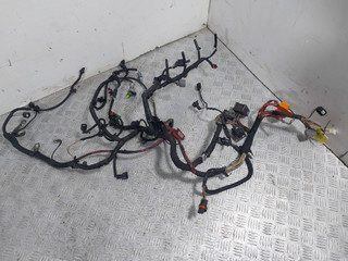 проводка двигателя Renault Scenic 2 поколение [рестайлинг] (2006 - 2010), 2.0 л., DCi, M9R 700, дизель, МКПП