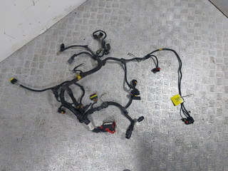 проводка двигателя Fiat Punto 2 поколение [рестайлинг] (2003 - 2011), 1.4 л., i, 350 A1.000, бензин, МКПП, 55203697