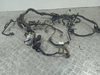 проводка двигателя Nissan Almera N16 (2000 - 2003), 1.8 л., i, QG18DE, бензин, МКПП, 24011-BM610