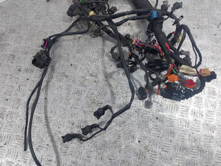проводка двигателя Audi A6 4B/C5 (1997 - 2001), 2.8 л., i, AQD, бензин, МКПП, полный привод, 8D1971072TA