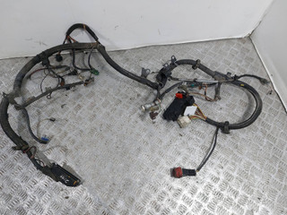 проводка двигателя Renault Scenic 1 поколение (1996 - 1999), 1.6 л., i, K7M 702, бензин, МКПП