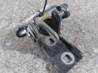 петля двери Opel Insignia 1 поколение (A) (2008 - 2014), хетчбэк 5 дв.
