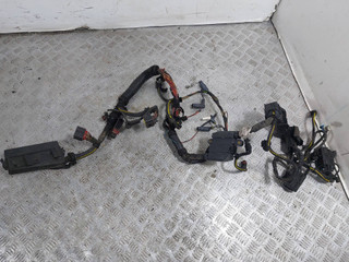проводка двигателя Opel Vectra C (2002 - 2005), 2.2 л., DTi, Y 22 DTR, дизель, 09179635